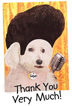 I need to leave the building now...