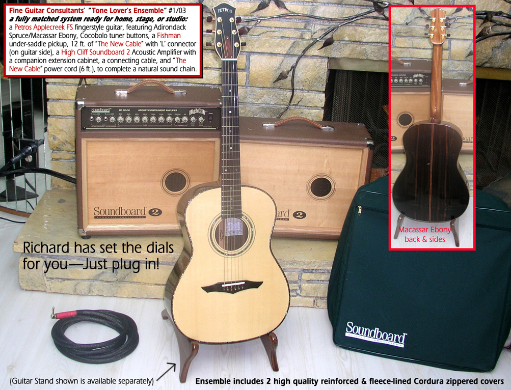 Bruce Petros Applecreek FS Guitar - amp - and - accessories